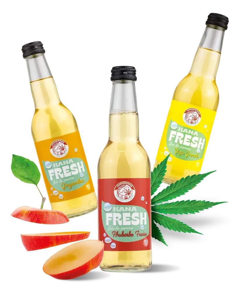 kanafresh trio.webp