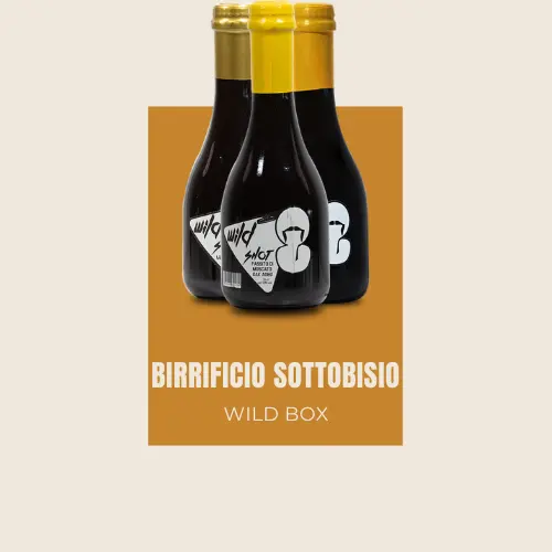 Birrificio Sottobisio Wild Box