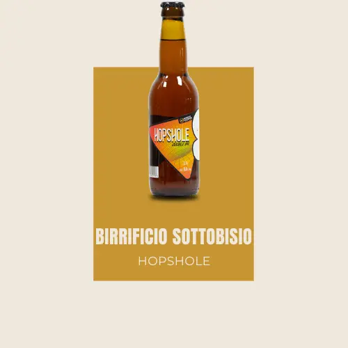 Birrificio Sottobisio - Hopshole